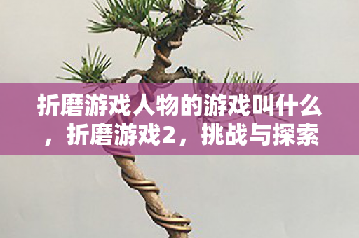折磨游戏人物的游戏叫什么，折磨游戏2，挑战与探索的极致之旅