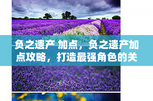 负之遗产 加点，负之遗产加点攻略，打造最强角色的关键步骤