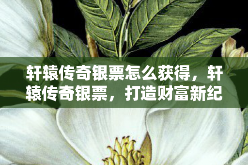 轩辕传奇银票怎么获得，轩辕传奇银票，打造财富新纪元