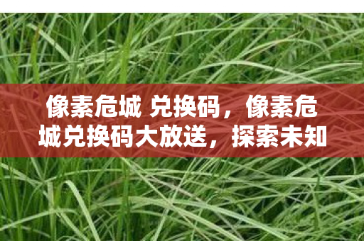 像素危城 兑换码，像素危城兑换码大放送，探索未知世界的冒险之旅