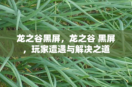 龙之谷黑屏,龙之谷 黑屏,玩家遭遇与解决之道 龙之谷黑屏,龙之谷 黑屏,玩家遭遇与解决之道