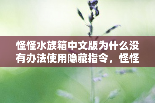 怪怪水族箱中文版为什么没有办法使用隐藏指令，怪怪水族箱中文版，打造你的专属海底世界