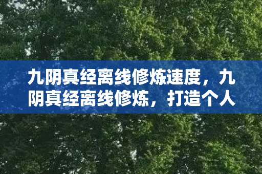 九阴真经离线修炼速度,九阴真经离线修炼,打造个人修炼新境界 九阴真经离线修炼速度,九阴真经离线修炼,打造个人修炼新境界