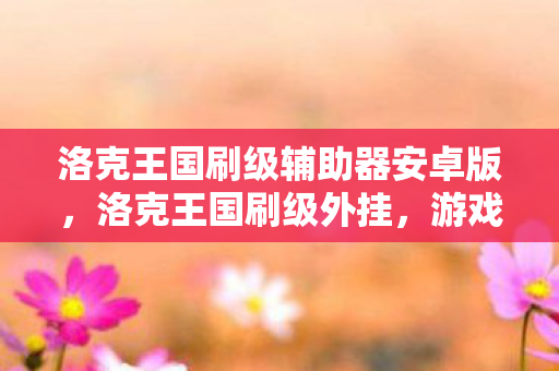 洛克王国刷级辅助器安卓版，洛克王国刷级外挂，游戏内外的新挑战与应对