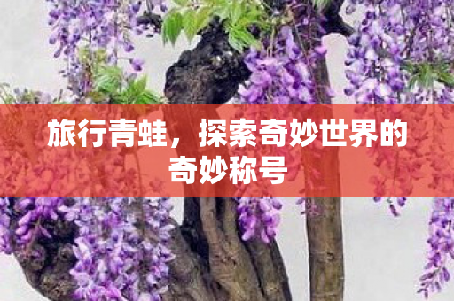 旅行青蛙,探索奇妙世界的奇妙称号 旅行青蛙,探索奇妙世界的奇妙称号