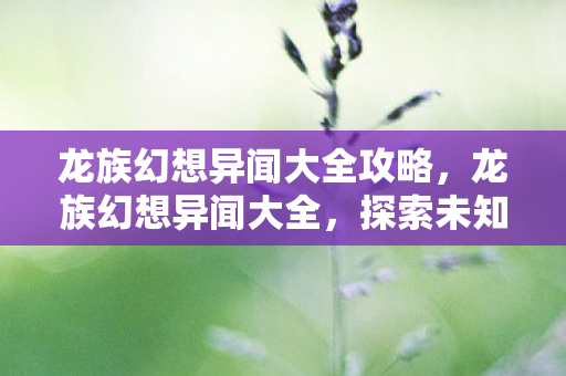 龙族幻想异闻大全攻略，龙族幻想异闻大全，探索未知世界的奇妙之旅