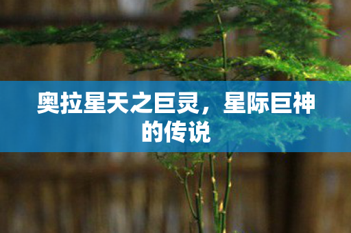 奥拉星天之巨灵，星际巨神的传说