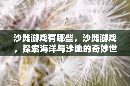 沙滩游戏有哪些，沙滩游戏，探索海洋与沙地的奇妙世界