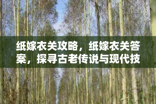 纸嫁衣关攻略,纸嫁衣关答案,探寻古老传说与现代技术的融合 纸嫁衣关攻略,纸嫁衣关答案,探寻古老传说与现代技术的融合