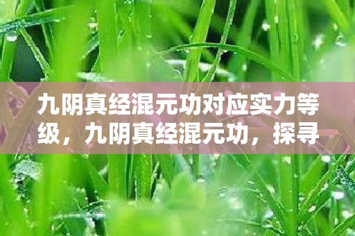 九阴真经混元功对应实力等级，九阴真经混元功，探寻武侠世界的内功奥秘