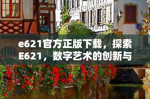 e621官方正版下载，探索E621，数字艺术的创新与实践