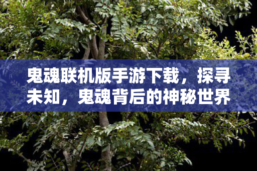 鬼魂联机版手游下载，探寻未知，鬼魂背后的神秘世界
