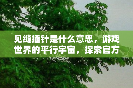 见缝插针是什么意思，游戏世界的平行宇宙，探索官方与私服的微妙差异