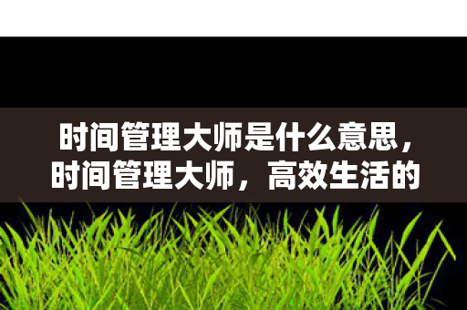 时间管理大师是什么意思，时间管理大师，高效生活的秘密武器