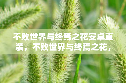 不败世界与终焉之花安卓直装,不败世界与终焉之花,探索虚拟世界的无限可能 不败世界与终焉之花安卓直装,不败世界与终焉之花,探索虚拟世界的无限可能