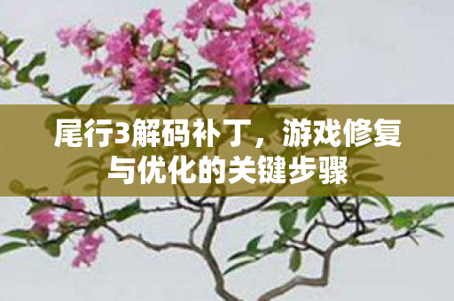 尾行3解码补丁，游戏修复与优化的关键步骤