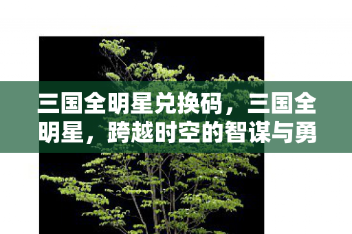 三国全明星兑换码，三国全明星，跨越时空的智谋与勇武