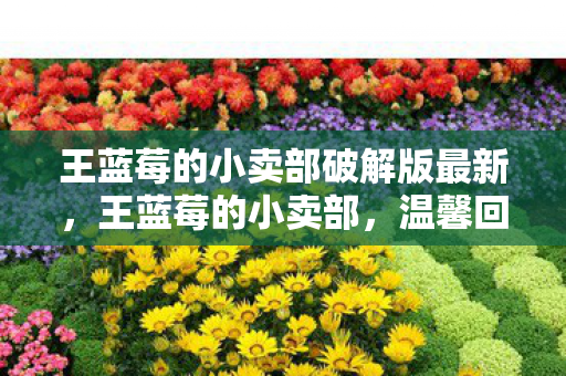 王蓝莓的小卖部破解版最新，王蓝莓的小卖部，温馨回忆与童年时光的交汇点