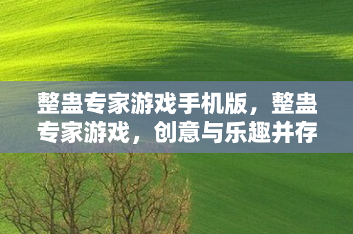 整蛊专家游戏手机版，整蛊专家游戏，创意与乐趣并存的娱乐新体验