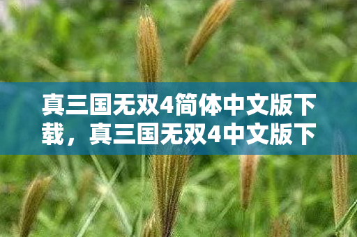 真三国无双4简体中文版下载,真三国无双4中文版下载,重温经典,畅享无双 真三国无双4简体中文版下载,真三国无双4中文版下载,重温经典,畅享无双