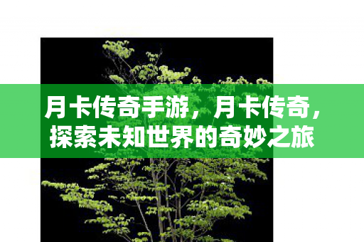 月卡传奇手游，月卡传奇，探索未知世界的奇妙之旅