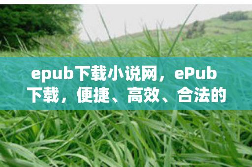epub下载小说网，ePub 下载，便捷、高效、合法的阅读新选择