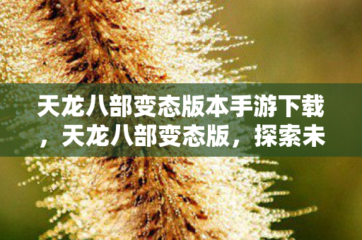 天龙八部变态版本手游下载，天龙八部变态版，探索未知世界的奇妙之旅