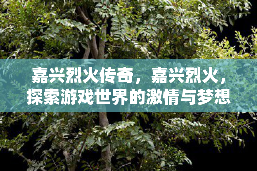 嘉兴烈火传奇，嘉兴烈火，探索游戏世界的激情与梦想