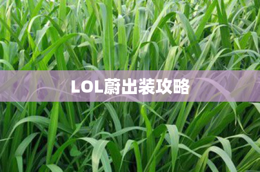 LOL蔚出装攻略 LOL蔚出装攻略