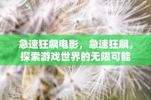 急速狂飙电影，急速狂飙，探索游戏世界的无限可能