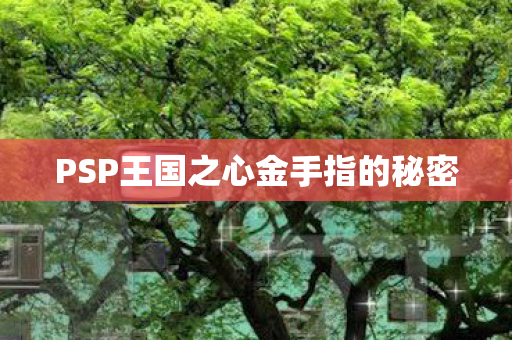 PSP王国之心金手指的秘密 PSP王国之心金手指的秘密