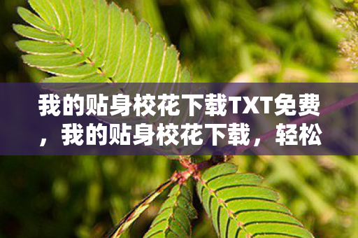 我的贴身校花下载TXT免费,我的贴身校花下载,轻松获取,尽享精彩内容 我的贴身校花下载TXT免费,我的贴身校花下载,轻松获取,尽享精彩内容