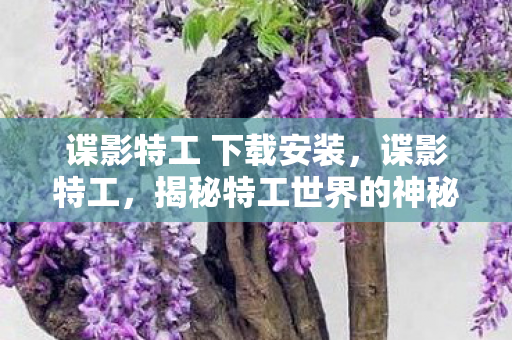 谍影特工 下载安装，谍影特工，揭秘特工世界的神秘下载之旅
