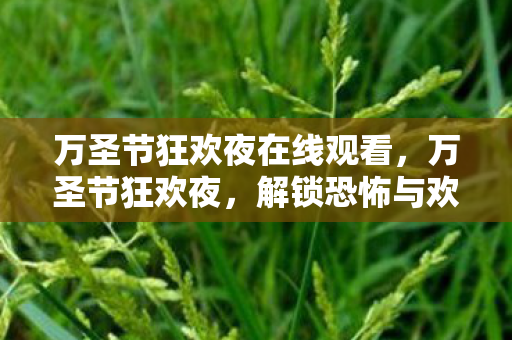 万圣节狂欢夜在线观看，万圣节狂欢夜，解锁恐怖与欢乐的奇妙之夜