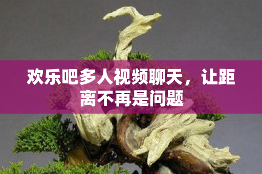 欢乐吧多人视频聊天，让距离不再是问题