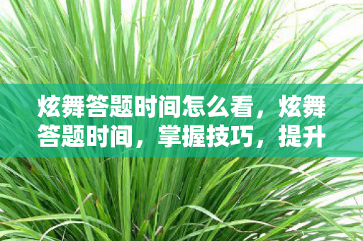 炫舞答题时间怎么看，炫舞答题时间，掌握技巧，提升效率