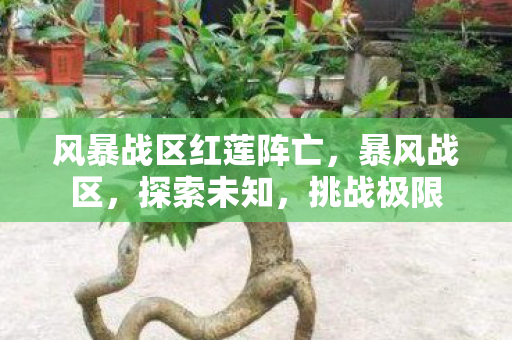 风暴战区红莲阵亡，暴风战区，探索未知，挑战极限