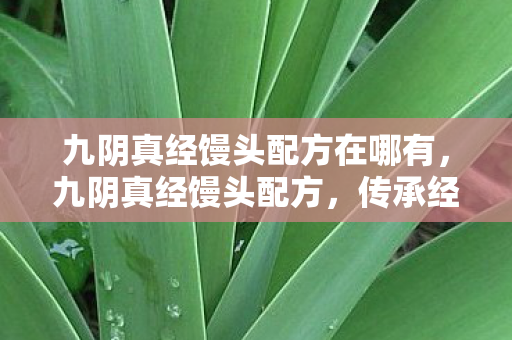 九阴真经馒头配方在哪有,九阴真经馒头配方,传承经典,匠心独运 九阴真经馒头配方在哪有,九阴真经馒头配方,传承经典,匠心独运