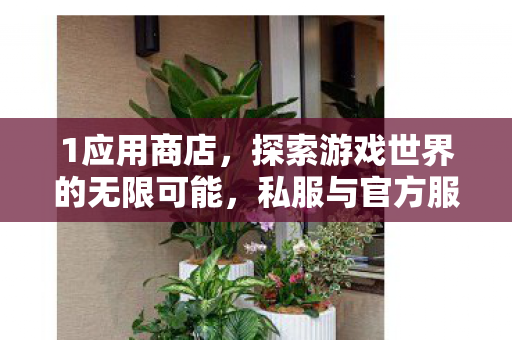 1应用商店，探索游戏世界的无限可能，私服与官方服务器的独特魅力