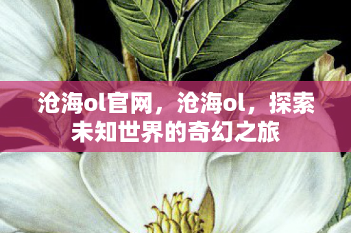 沧海ol官网,沧海ol,探索未知世界的奇幻之旅 沧海ol官网,沧海ol,探索未知世界的奇幻之旅