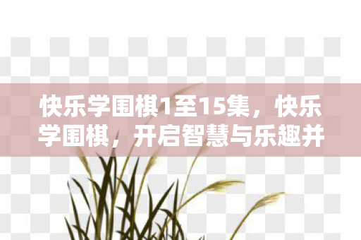 快乐学围棋1至15集，快乐学围棋，开启智慧与乐趣并存的围棋之旅