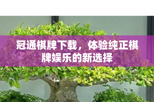 冠通棋牌下载，体验纯正棋牌娱乐的新选择