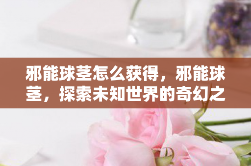 邪能球茎怎么获得，邪能球茎，探索未知世界的奇幻之旅