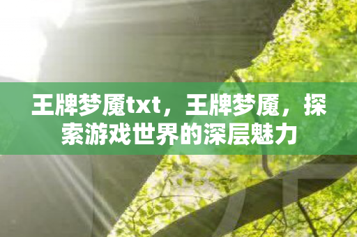 王牌梦魇txt，王牌梦魇，探索游戏世界的深层魅力