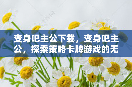 变身吧主公下载，变身吧主公，探索策略卡牌游戏的无限可能