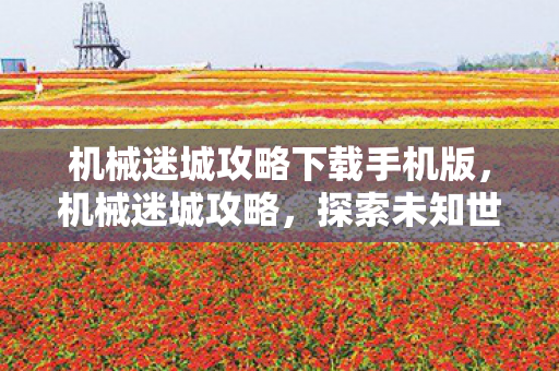 机械迷城攻略下载手机版,机械迷城攻略,探索未知世界的全面指南 机械迷城攻略下载手机版,机械迷城攻略,探索未知世界的全面指南