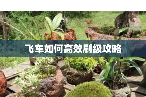 飞车如何高效刷级攻略 飞车如何高效刷级攻略