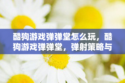酷狗游戏弹弹堂怎么玩，酷狗游戏弹弹堂，弹射策略与欢乐竞技的完美结合