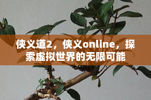 侠义道2，侠义online，探索虚拟世界的无限可能
