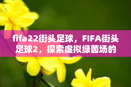 fifa22街头足球，FIFA街头足球2，探索虚拟绿茵场的无限可能